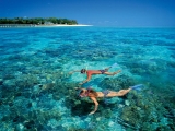 Snorkellers Snorkellers